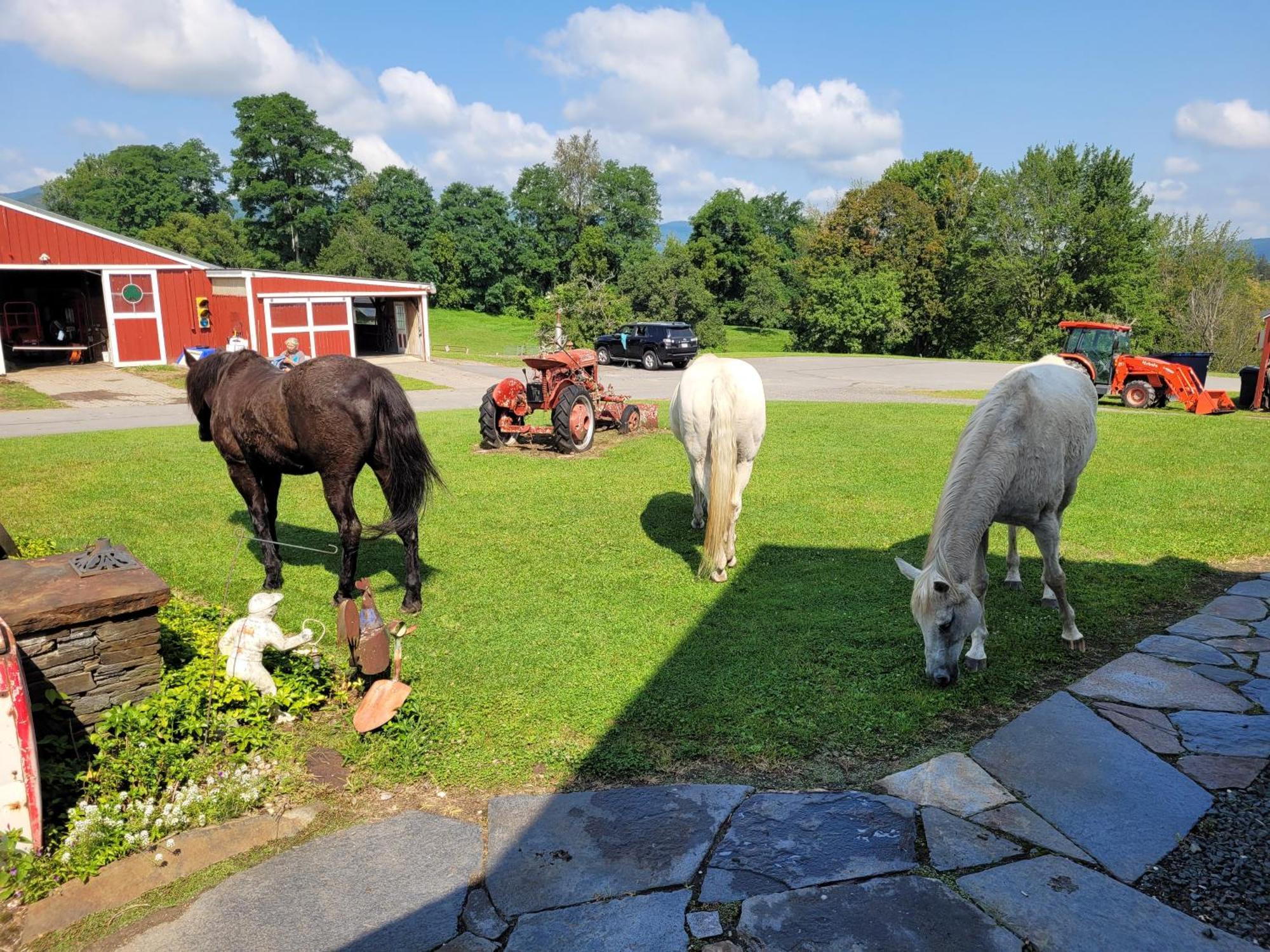 Clover Hill Farm & Country Inn Williamstown Luaran gambar