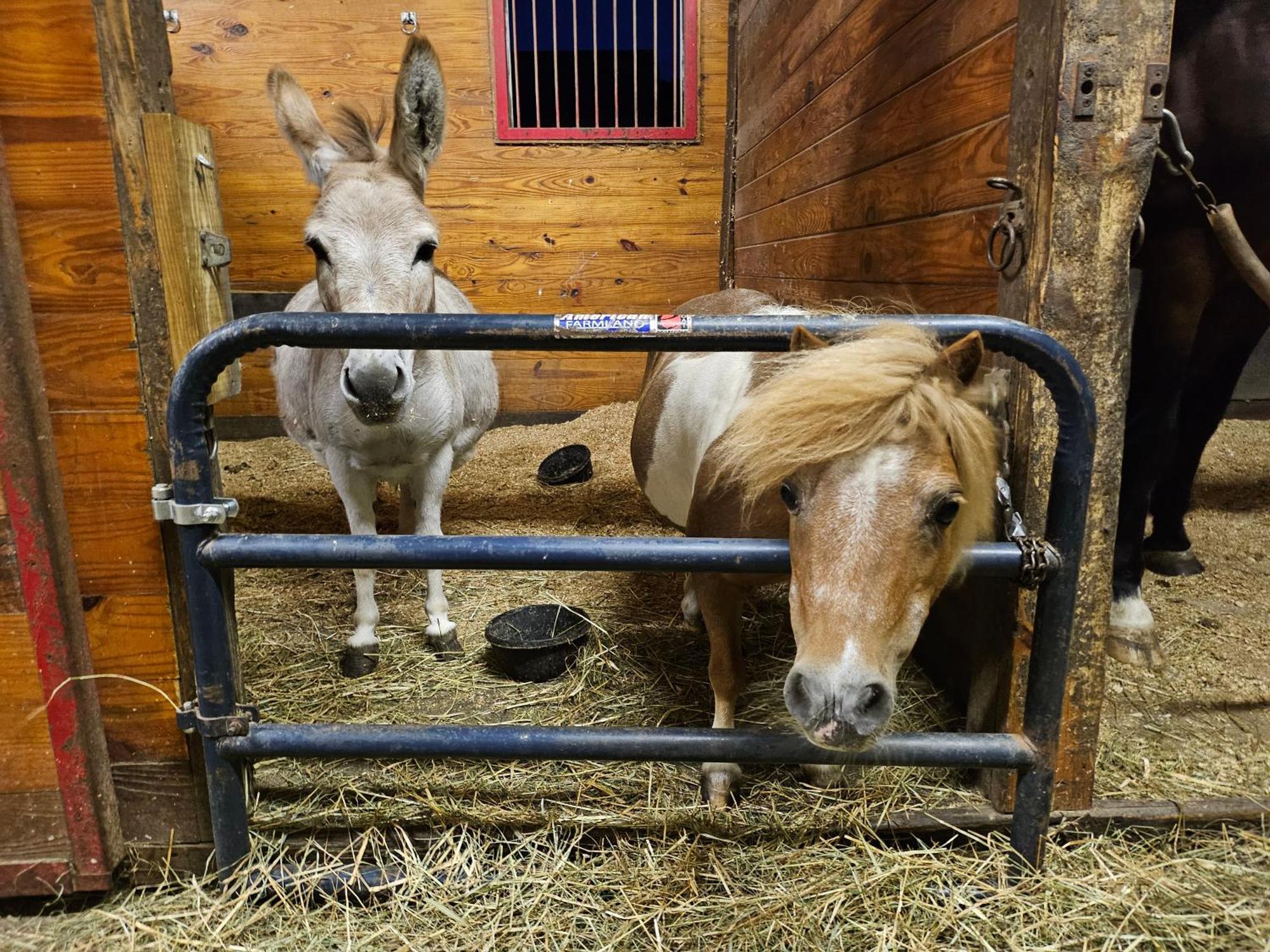 Clover Hill Farm & Country Inn Williamstown Luaran gambar