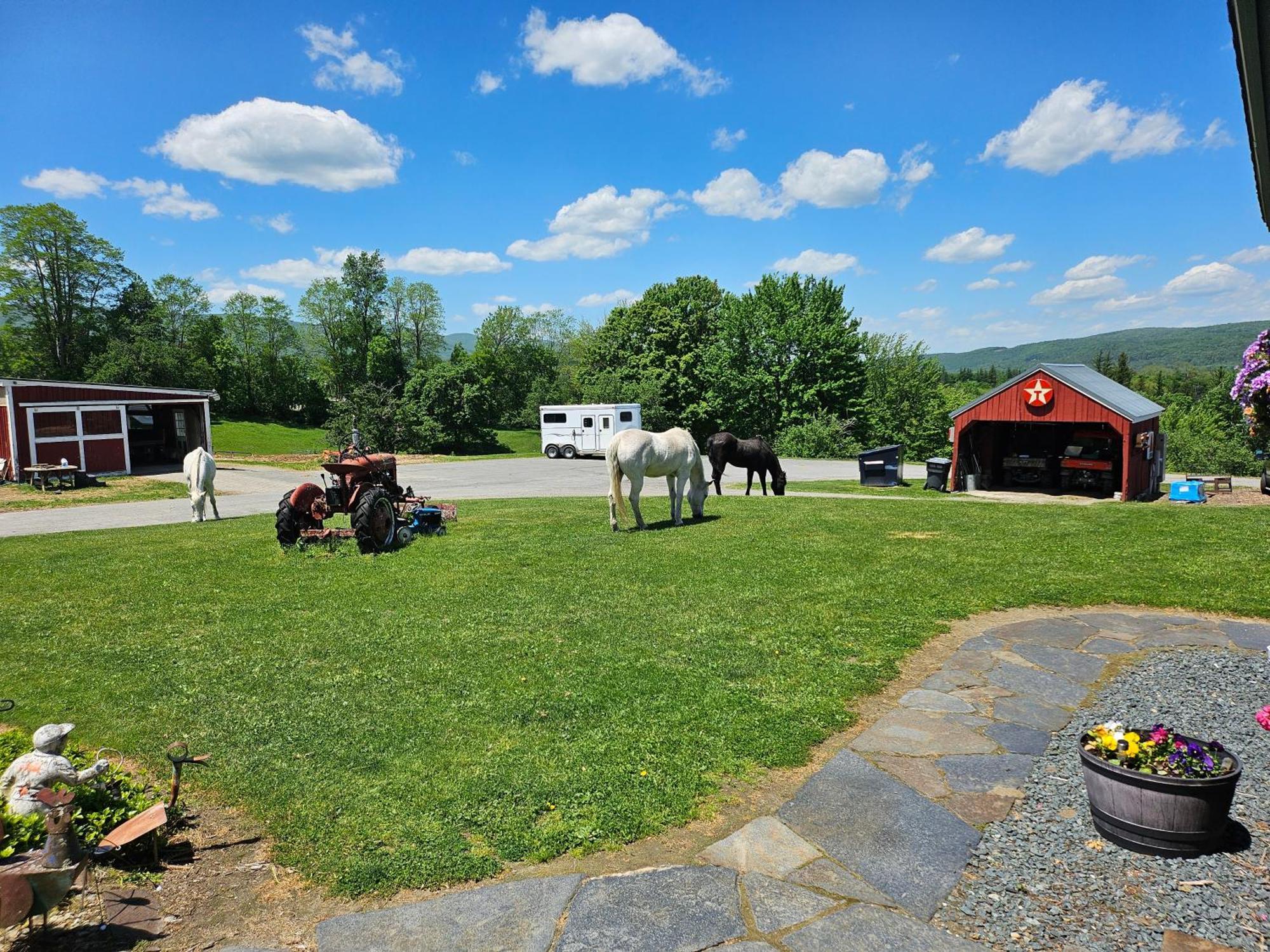 Clover Hill Farm & Country Inn Williamstown Luaran gambar