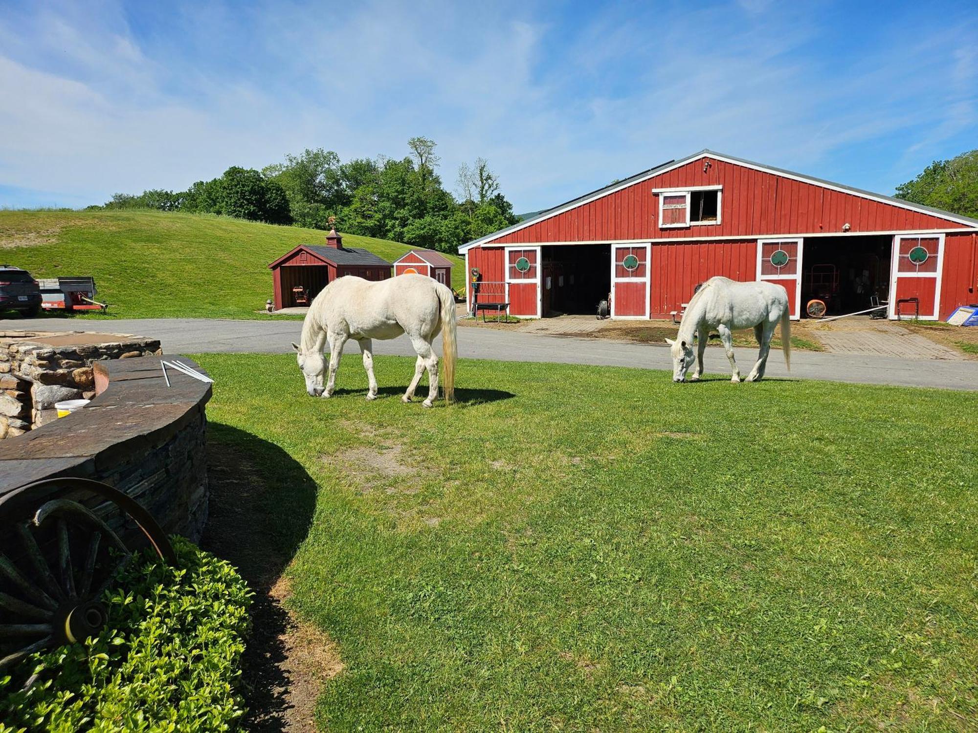 Clover Hill Farm & Country Inn Williamstown Luaran gambar